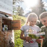 Kids discovery trail "Fix shows you his world"