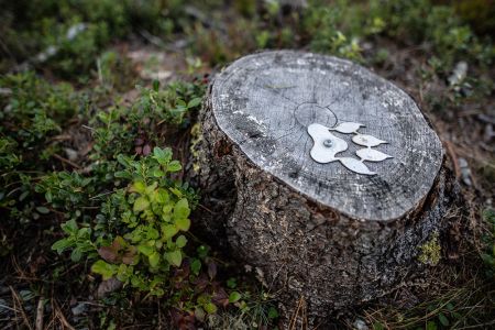 Kinder-Erlebnisweg „Fix zeigt dir seine Welt“