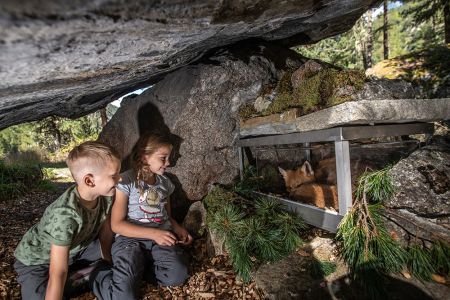 Kinder-Erlebnisweg „Fix zeigt dir seine Welt“