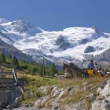 Swiss_Image_esm0290.jpg