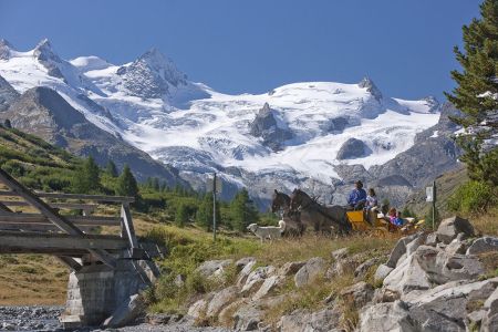 Swiss_Image_esm0290.jpg